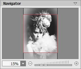 Navigator
