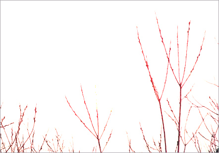 Color Dodge