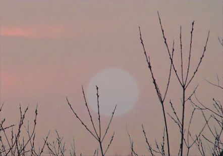 Darker Colors Are Shown