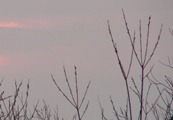 Lower Layer