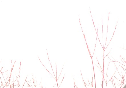 Linear Dodge