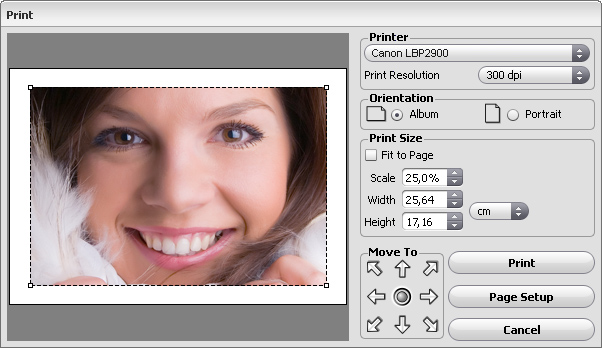 Print dialog box