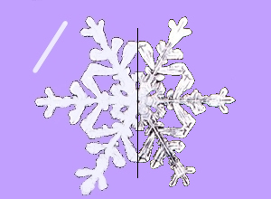 Strong Opacity
