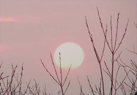 Soft Light