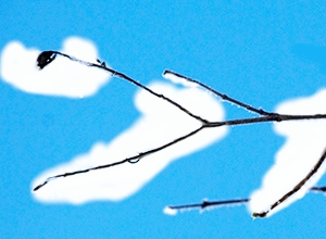 Regular Brush Stroke