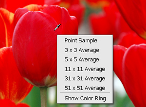 Sample Size menu