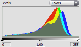 Histogram