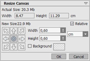 Canvas Size