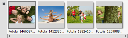 The thumbnails of the uploaded images