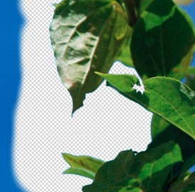 Before application of the tool