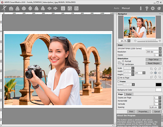 Print Options