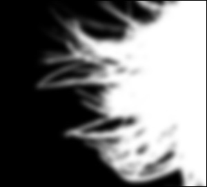 Feather = 50