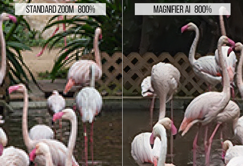 Image Enlargement with AKVIS Magnifier AI