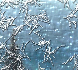 針状結晶の色が「白」