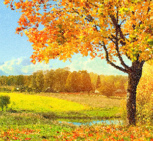 Complementary Colors = 0