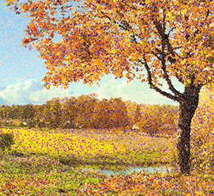 Complementary Colors = 20