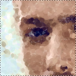 Preview Window