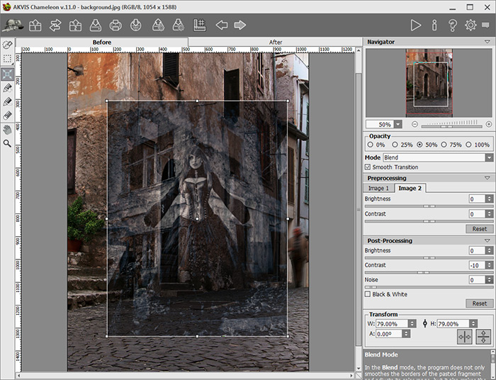 Transform the object for a collage