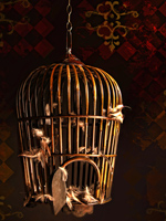 Background With Birdcage