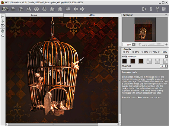 Bird within the bars