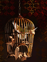 Collage: Bird in a Cage