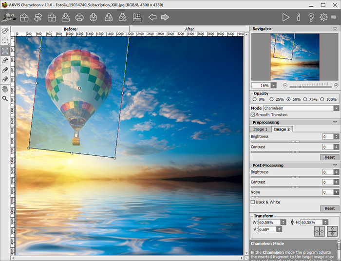 Transform the object for a collage
