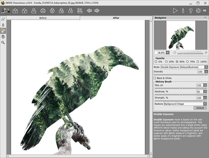 Processing Result