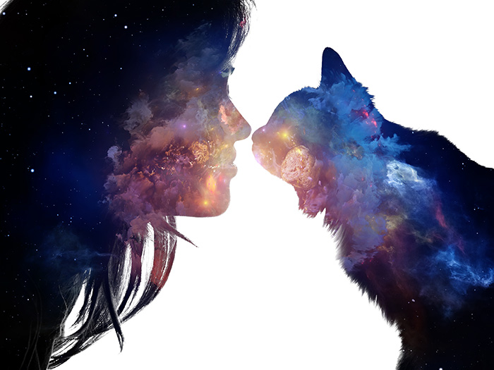 Double Exposure Effect
