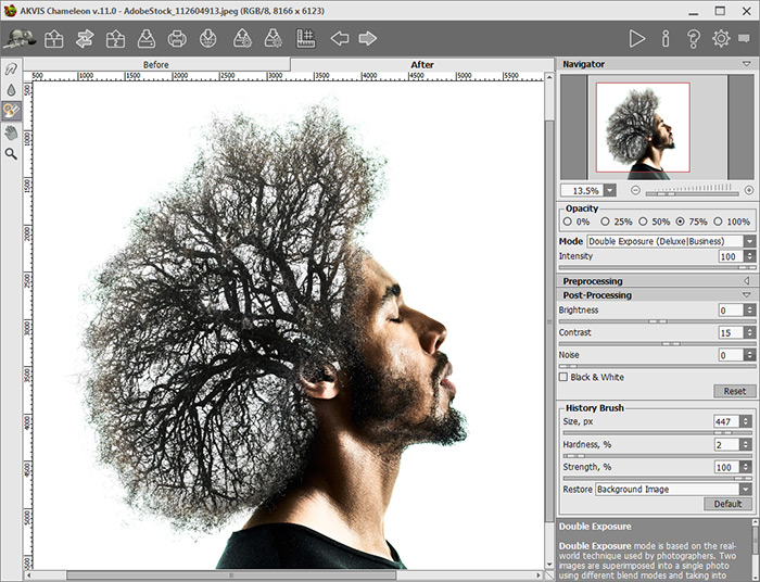 Double-Exposure Effect