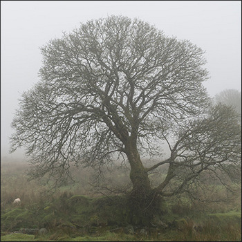 Image for Inserting