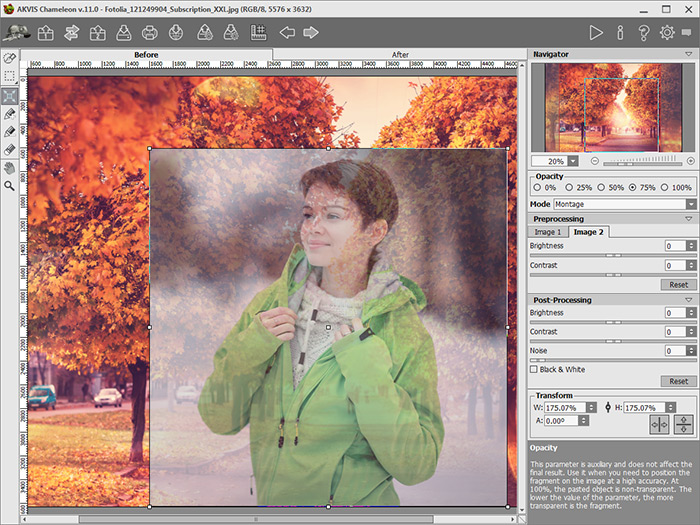 Use the Opacity Parameter
