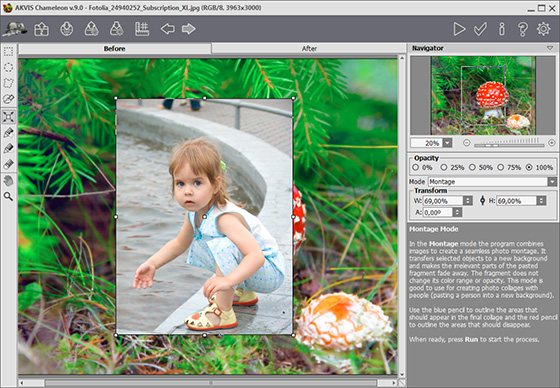 AKVIS Chameleon Plugin's Workspace