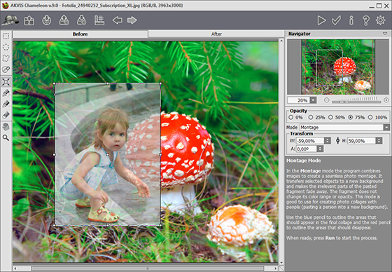 Adjusting the Image