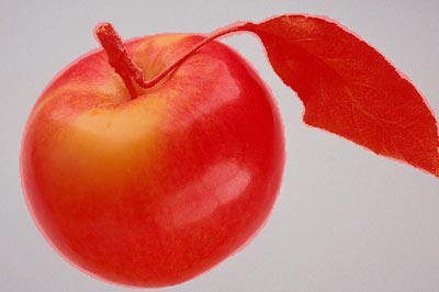 [クイックマスク] を使用してりんごを選択
