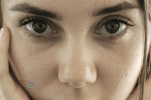 Fragment of the Original Image