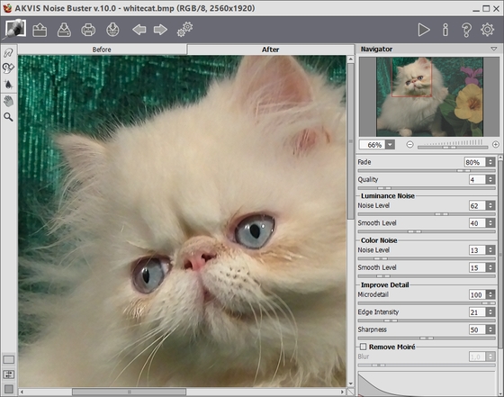 The result in AKVIS Noise Buster window
