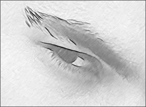 Without Noise