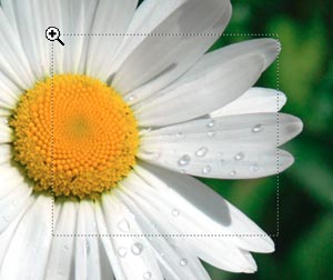 Zoom Tool