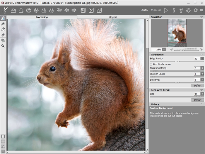 Workspace of AKVIS SmartMask (Auto Mode)