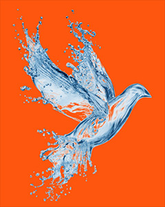 Selection on a color background