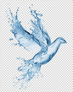 Selection on a transparent background