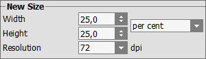 Reduce the image by 4 times