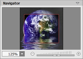 Navigator