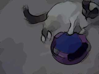 Cartoon Cartoon