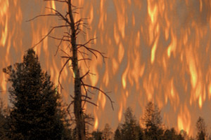 Fire Effect