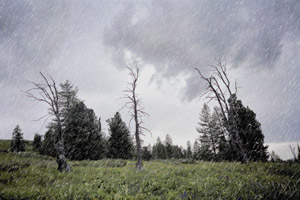 Rain Effect