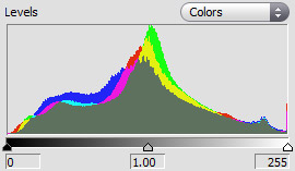 Histogram