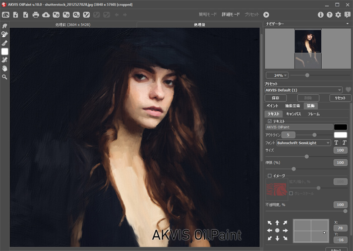署名入りのキャンバス使用の油絵 署名入りのキャンバス使用の油絵