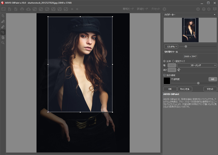画像の切り取り 画像の切り取り