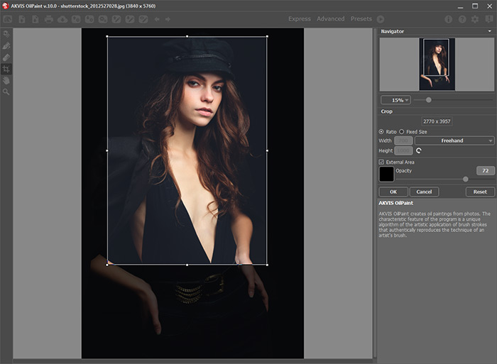 Crop Image in OilPaint